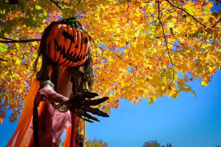zionsville lions pumpkins hayrides