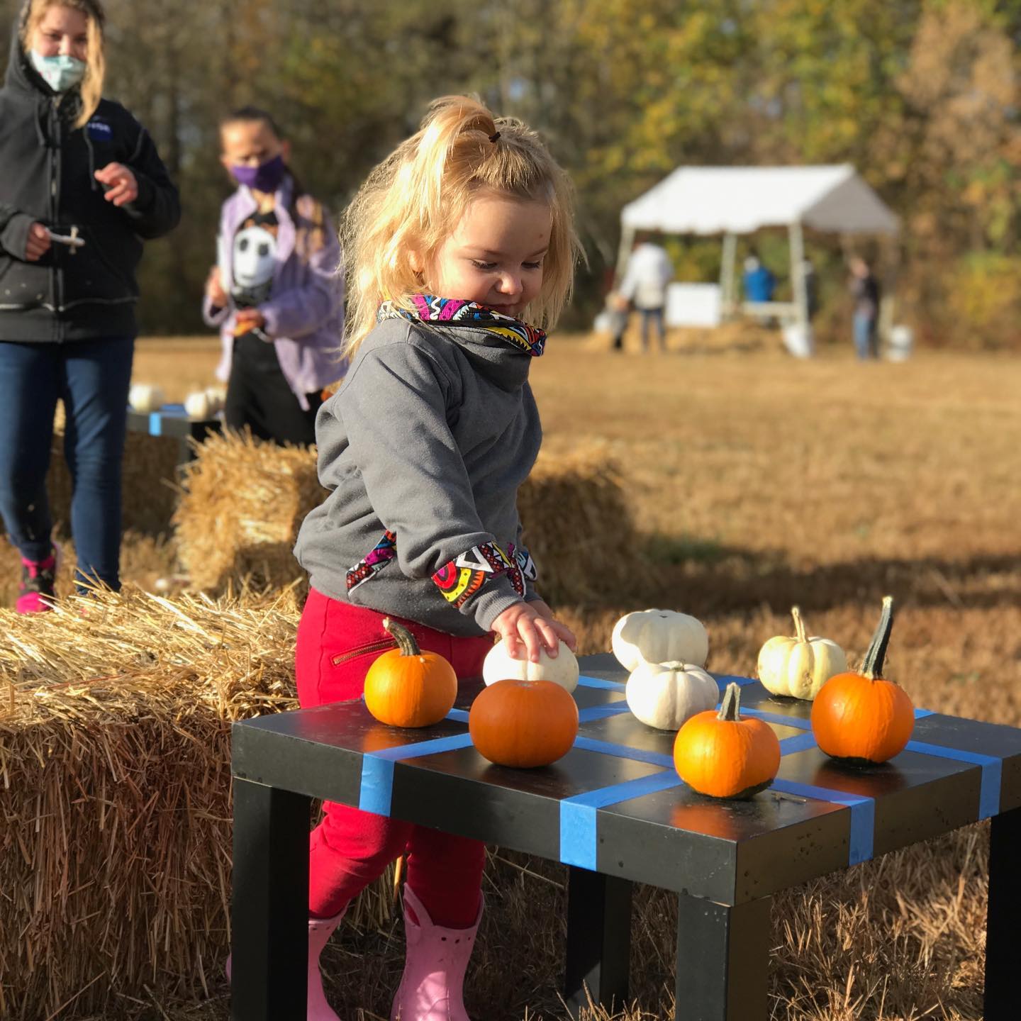Fishers AgriPark Fall Festival
