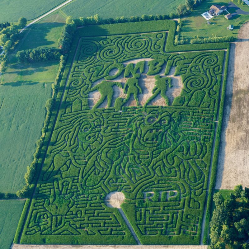 Exploration Acres corn maze 2022