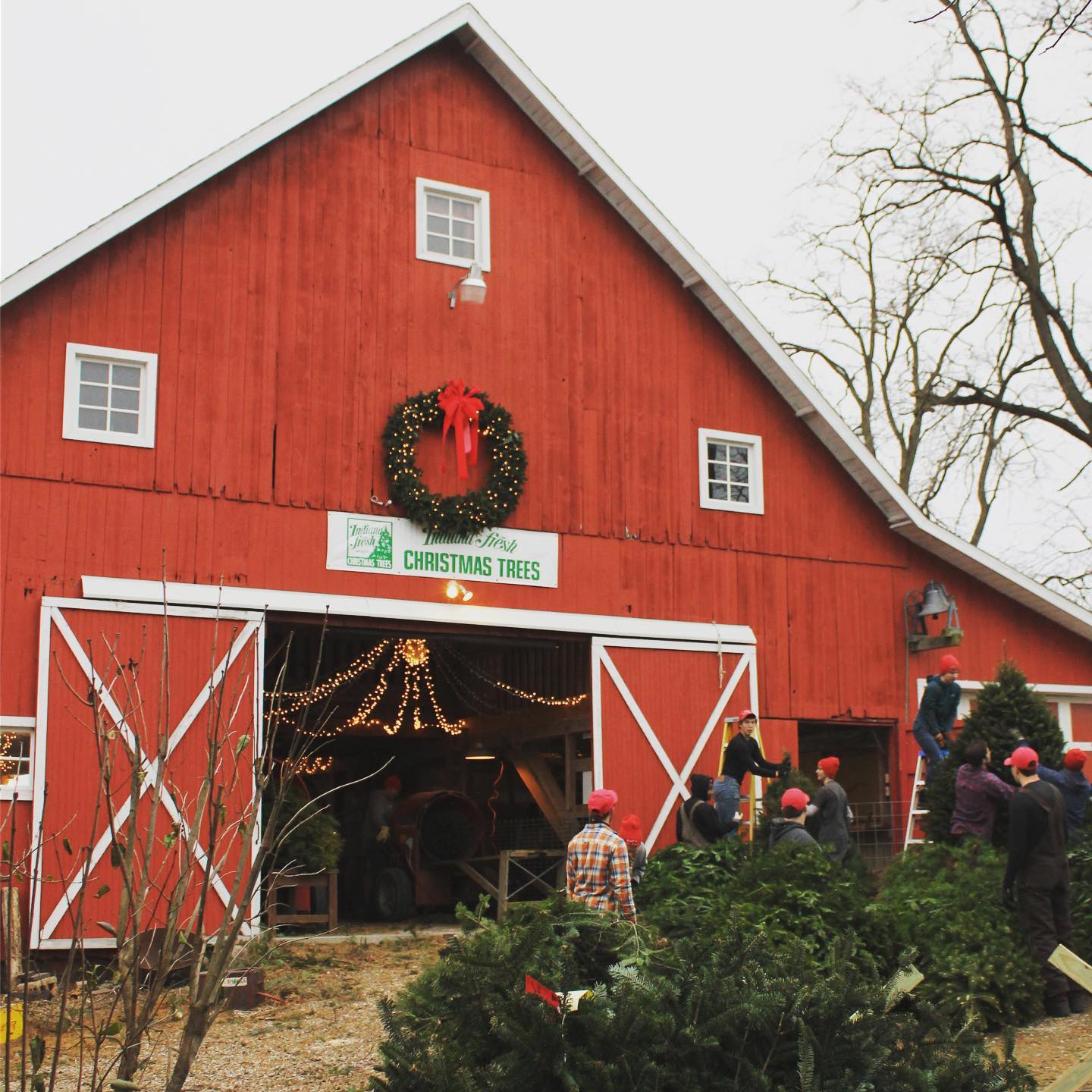 Dulls Christmas Tree Farm near Indianapolis