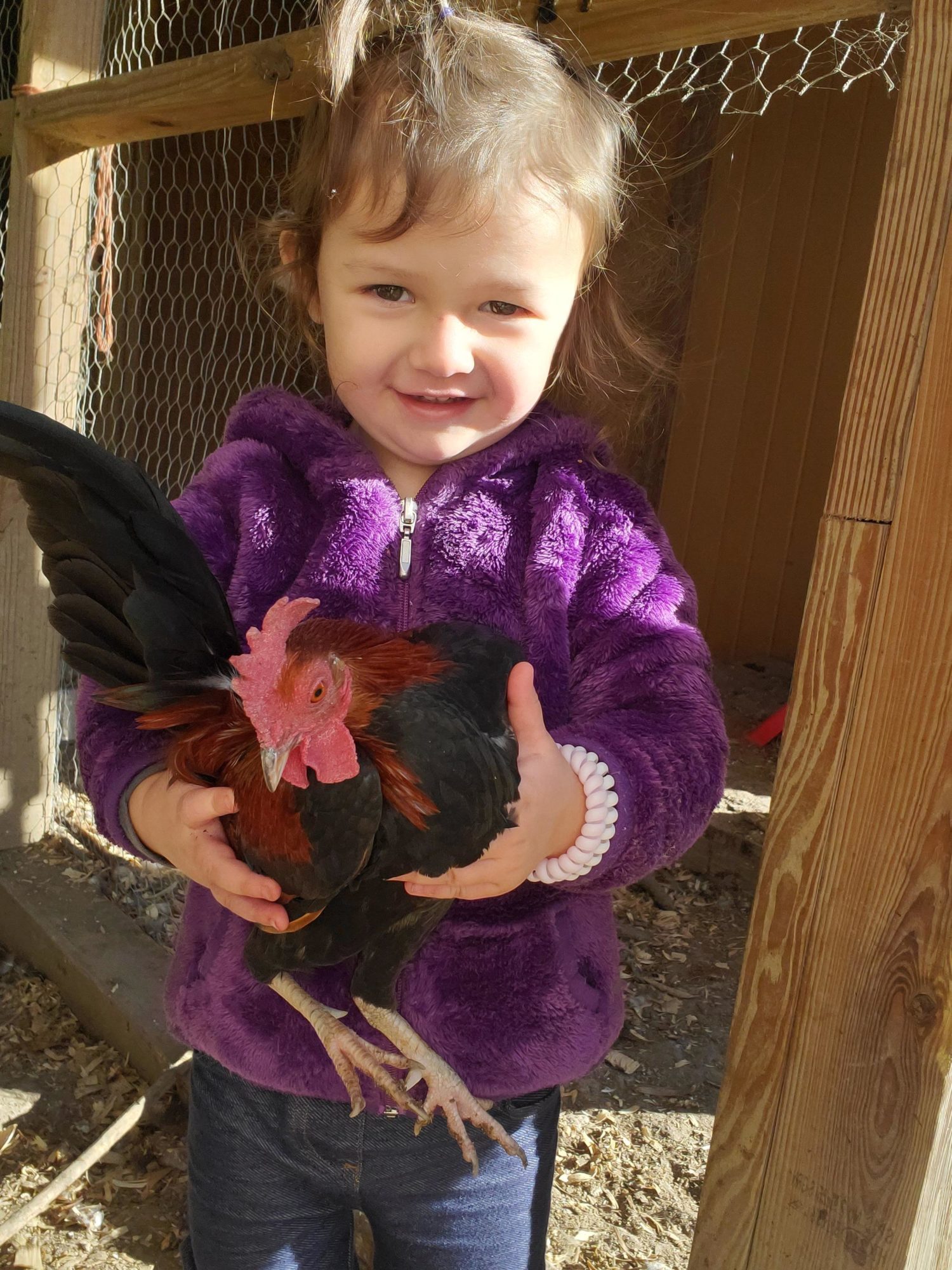 Indianapolis Hebrew Congregation-Early Childhood Center