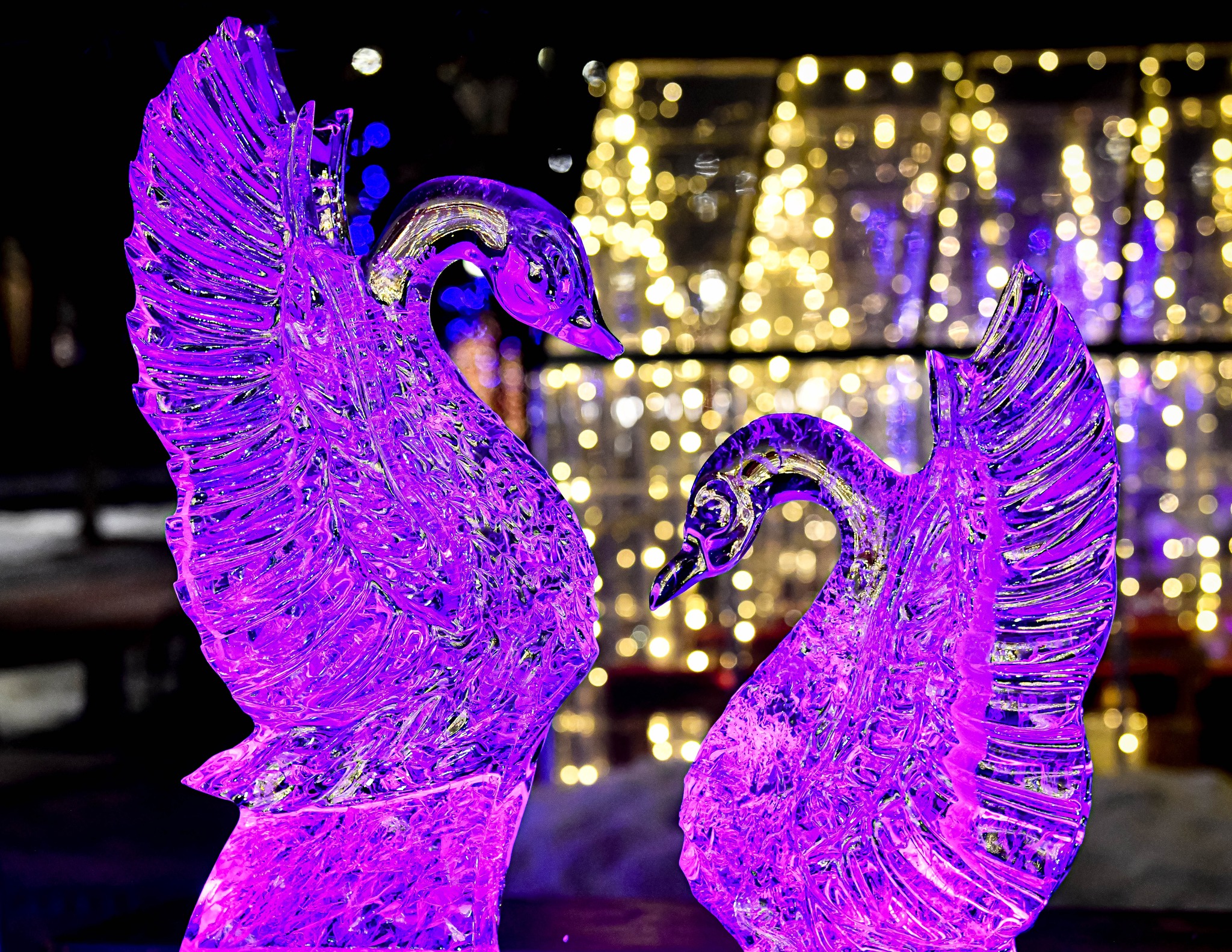 Carmel Festival of Ice 2026: Family Guide