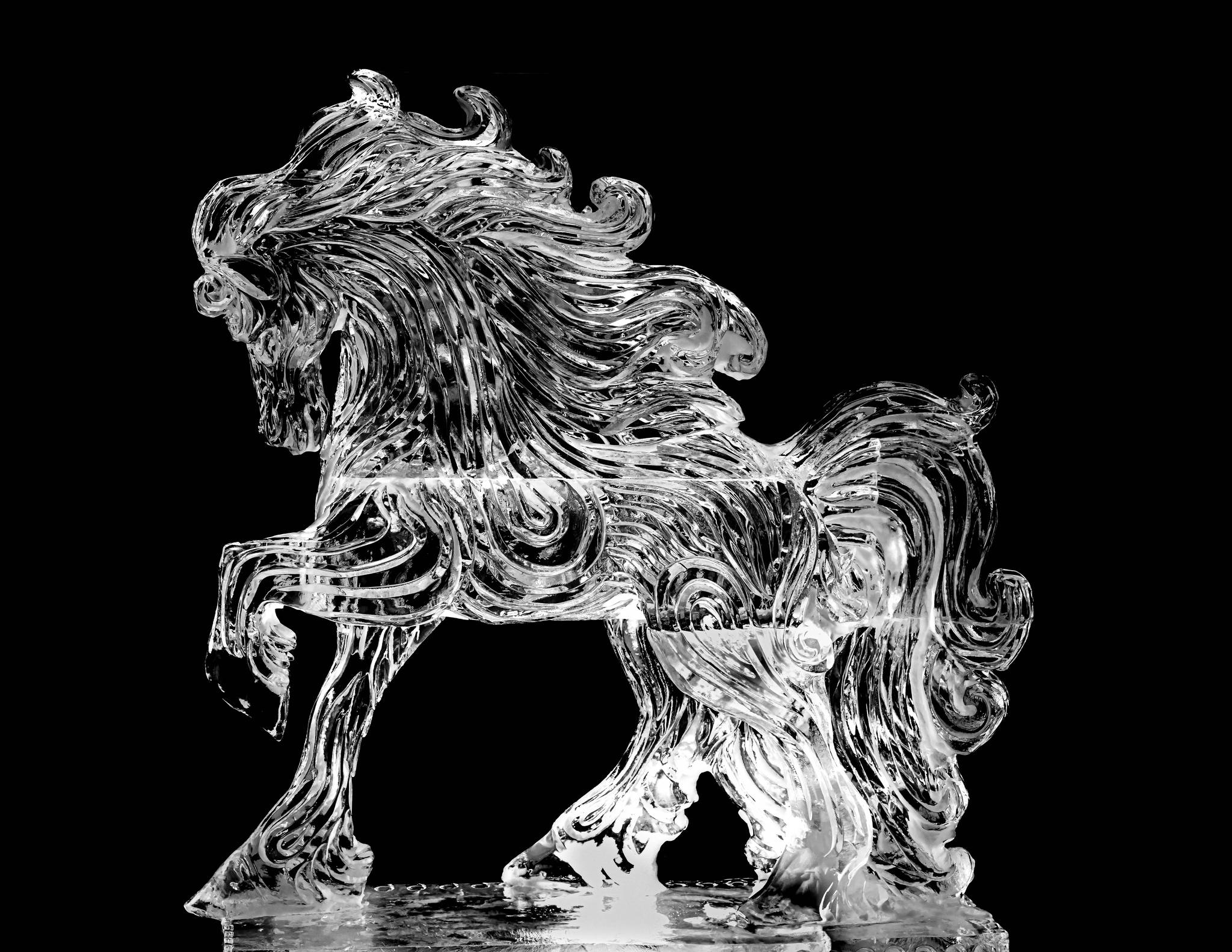 Carmel Festival of Ice 2026: Family Guide