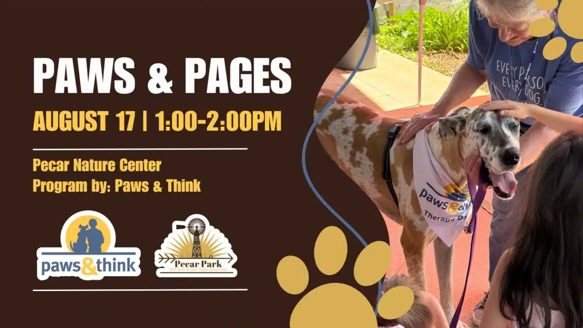 paws and pages