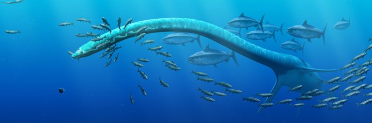 Monsters of the Mesozoic Seas