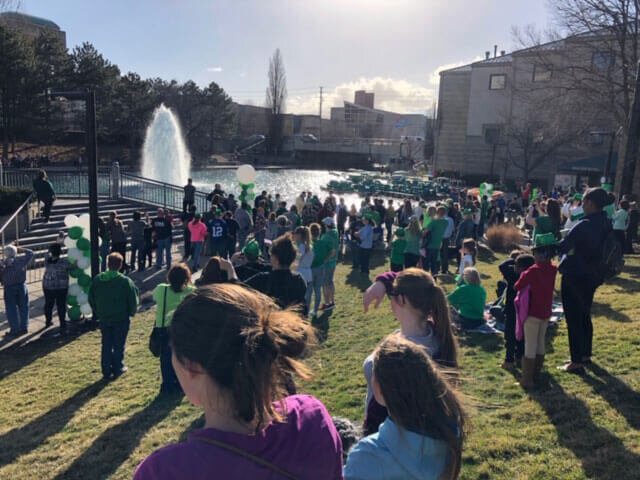 Greening of the Canal