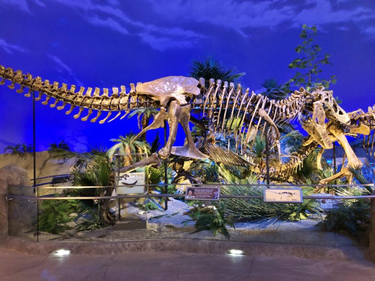 All Things Dinosaurs in March at The Children’s Museum of Indianapolis