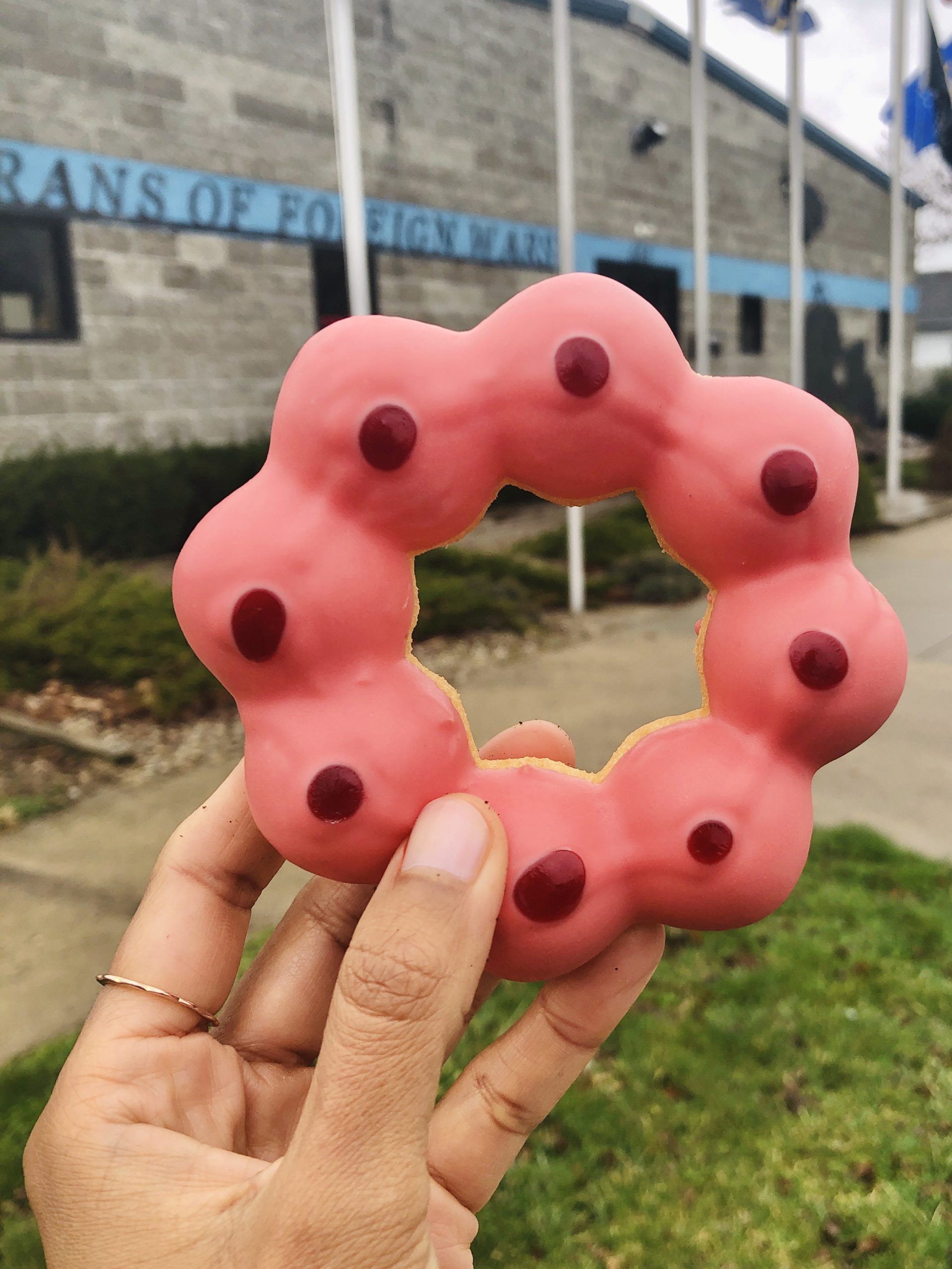 Mochi Joy Donuts Indianapolis