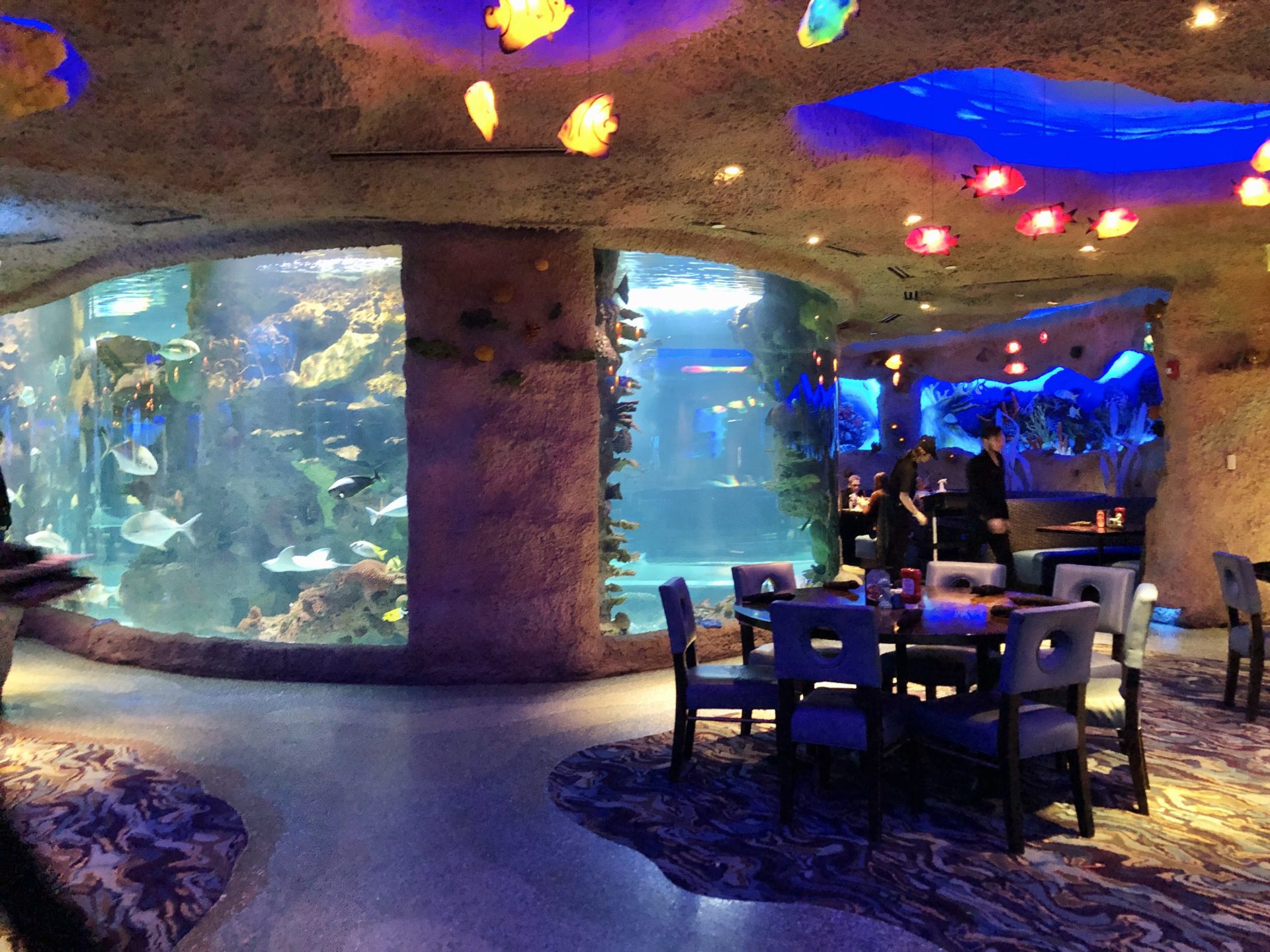 Aquarium Restaurant in Nashville, Tennessee Indy's Child Magazine