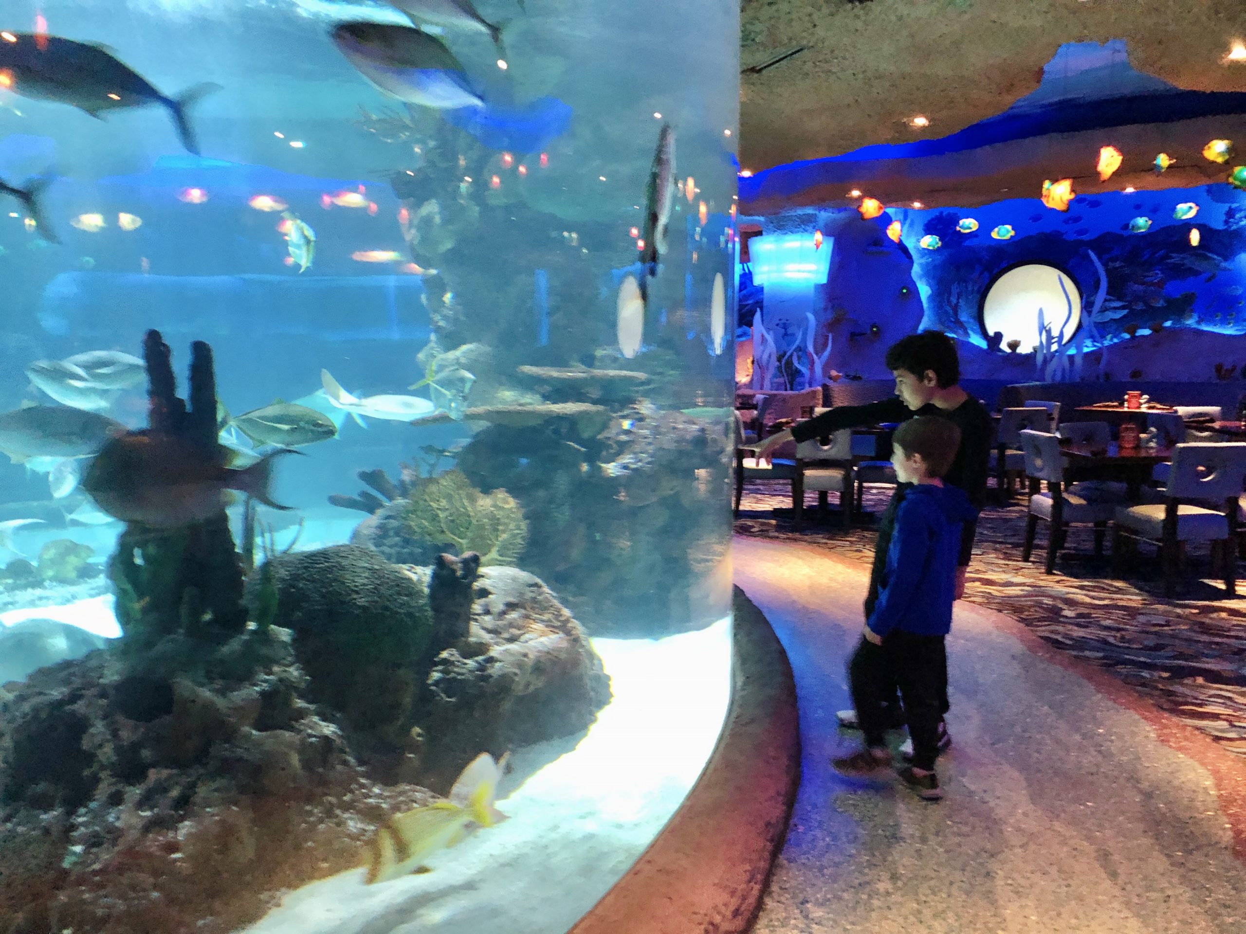 Aquarium Restaurant in Nashville