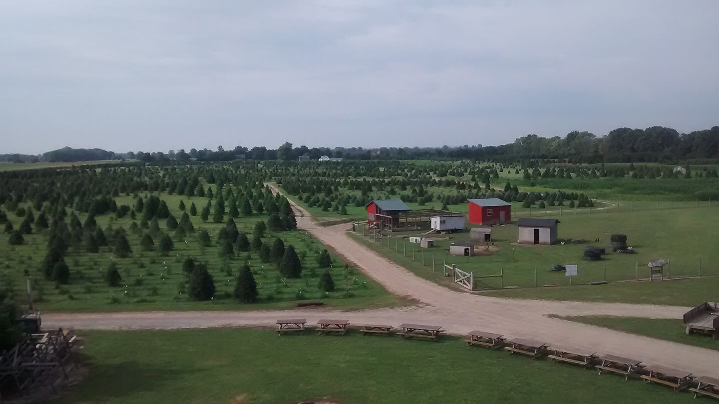 Piney Acres Farm