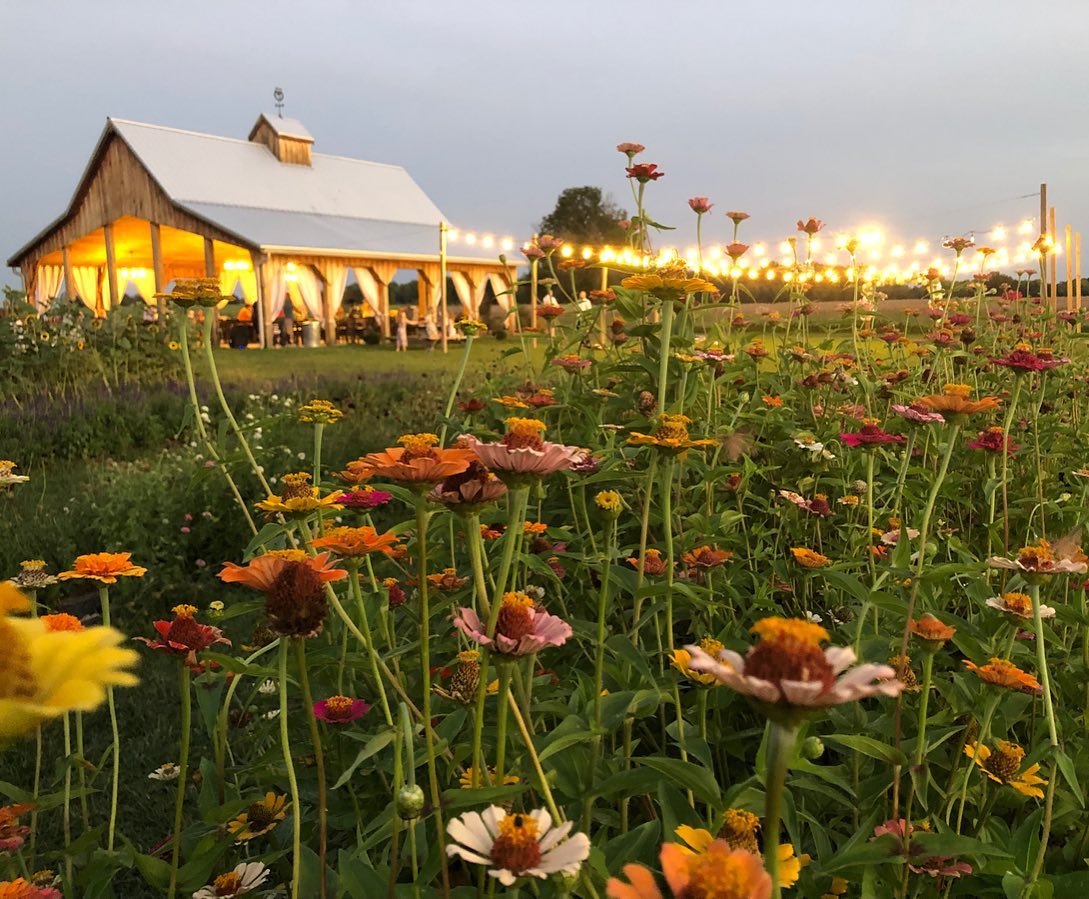P&D Flower Farm