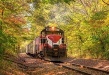 11 Best Fall Train Rides in Indiana Ohio River Scenic Railway