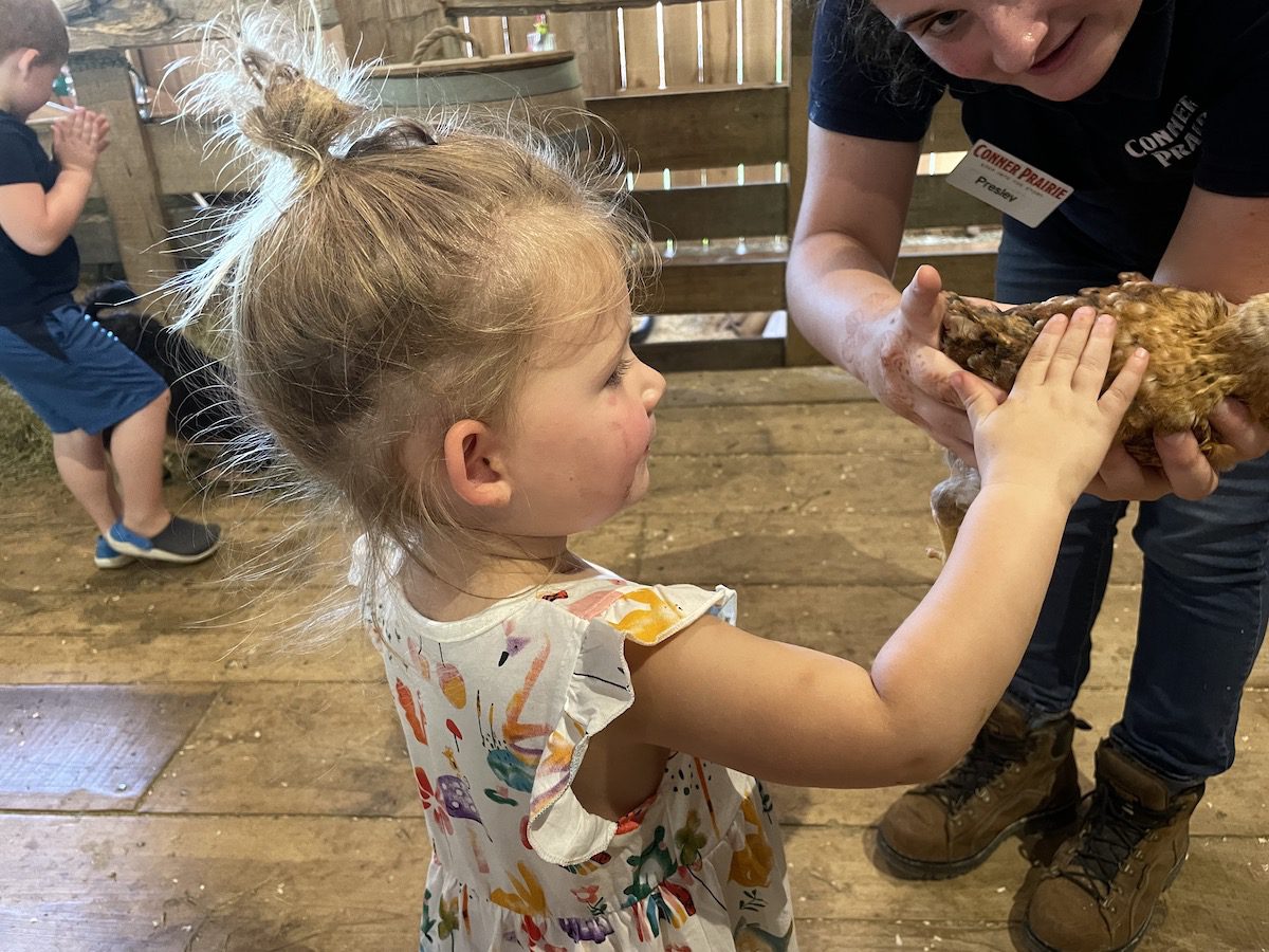 Petting the chicken in the barn