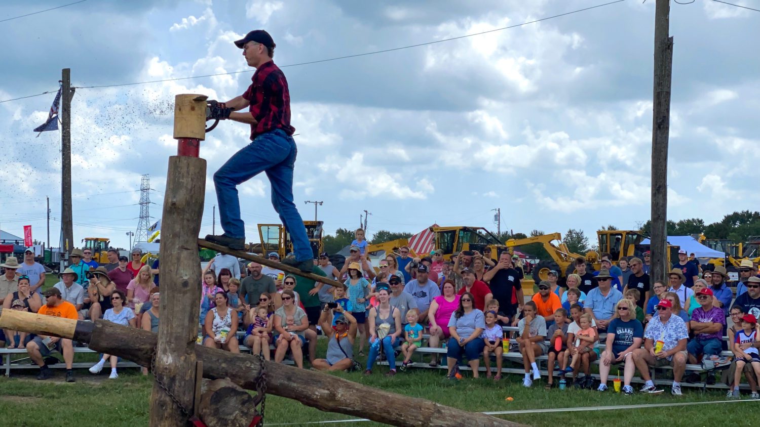 hardwood, lumberjack, festival