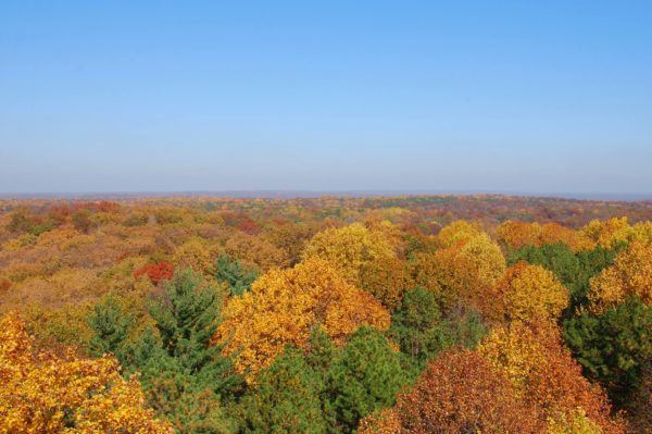 Hickory Ridge Lookout Tower: Indiana Fall Foliage - Indy's Child