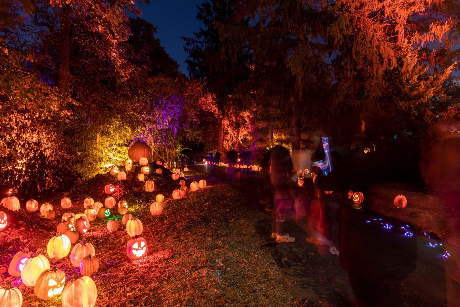 Harvest Nights at Newfields: A Spooky (but Not Scary!) Fall Event