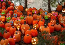 Harvest Nights at Newfields: A Spooky (but Not Scary!) Fall Event harvest nights newfields