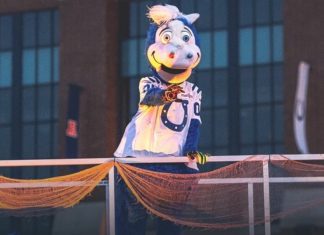 For the Boo! Halloween Party colts halloween