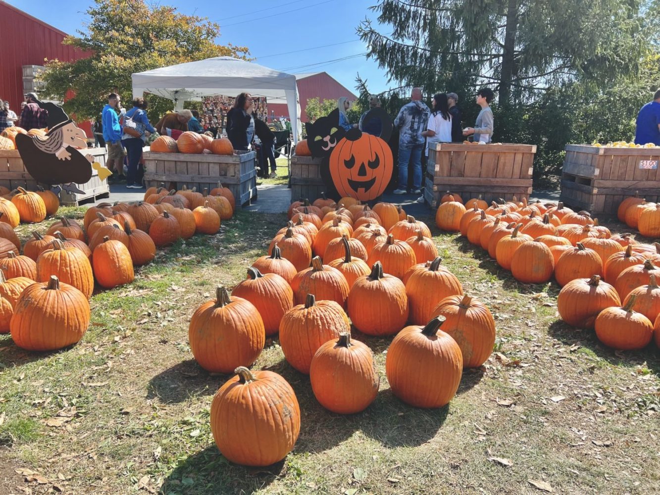 Anderson Orchard in Mooresville Indy's Child Magazine