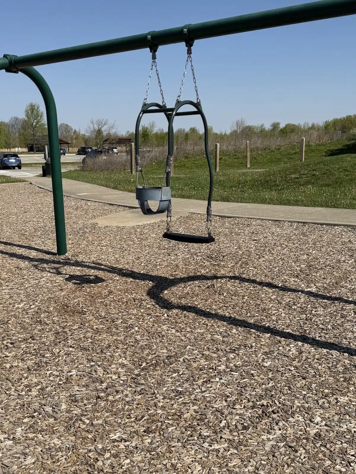 IMG_8907 parent child swing