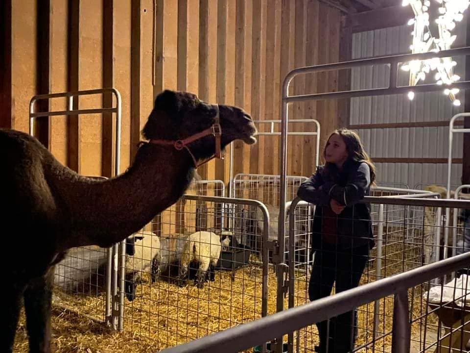 Kelsay Farm Holiday Stroll
