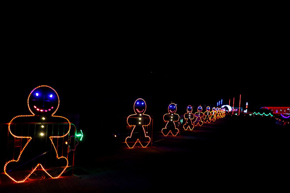 Gingerbread men, Christmas Lights