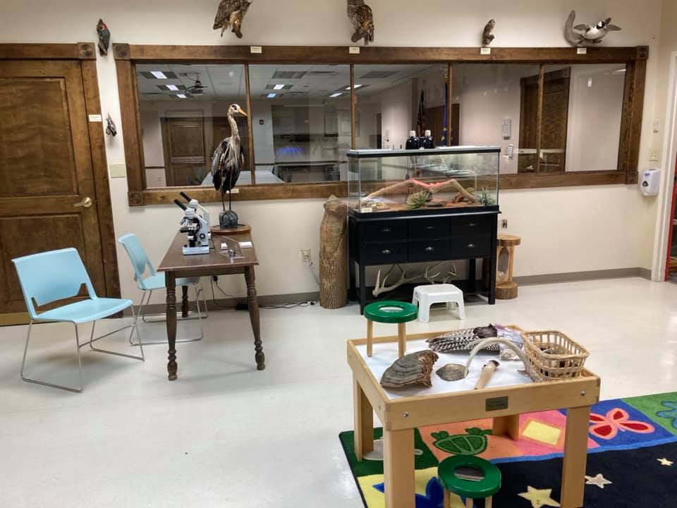 zionsville nature center