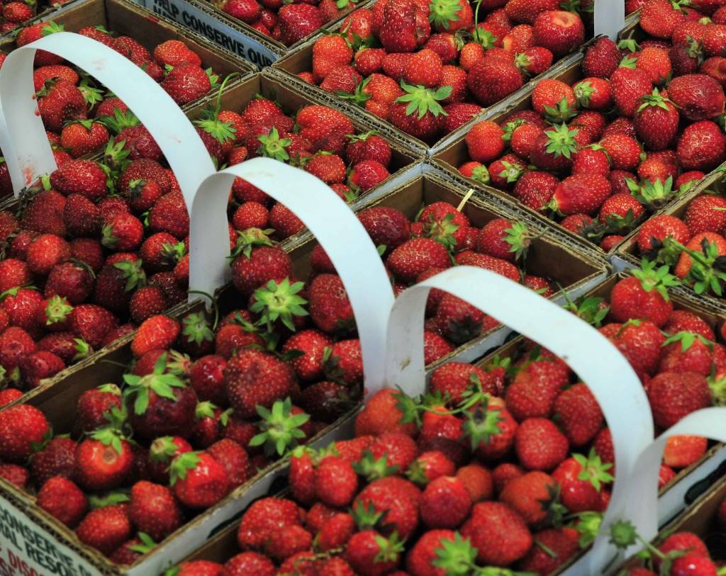 Waterman's Strawberry Festival Indy's Child Magazine