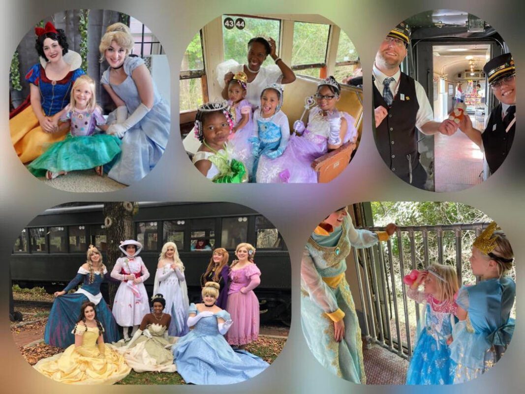 All Aboard the Princess Express Train – The Ultimate Royal Themed Train ...
