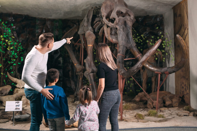 Museums in the Midwest Our area of the U.S. is home to some of the best family-friendly museums anywhere.