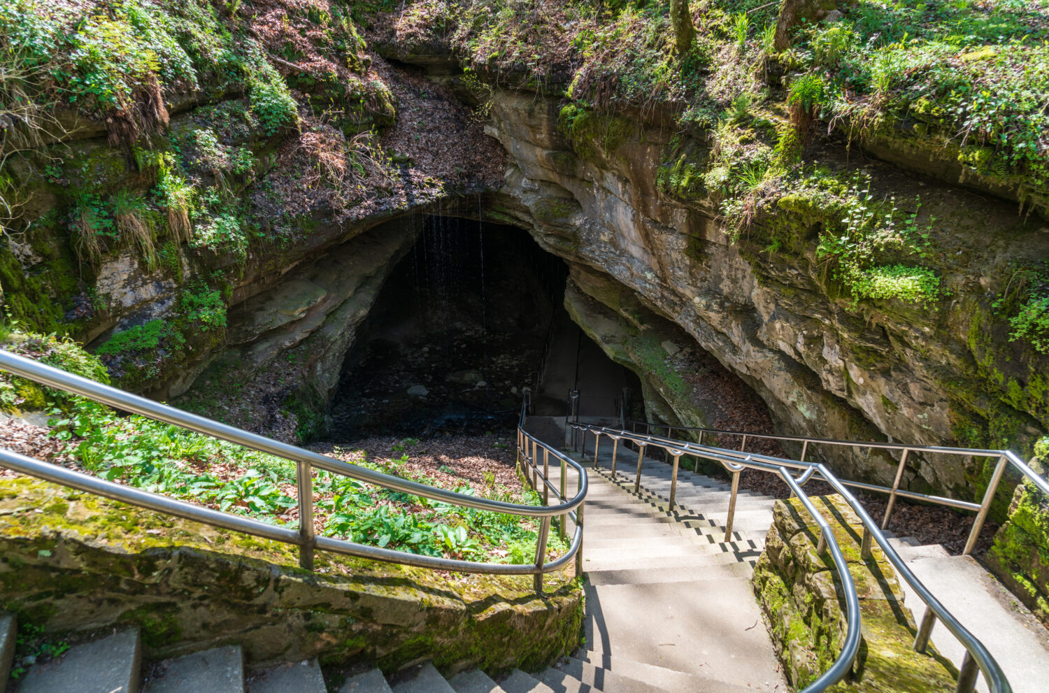 mammoth cave road trip