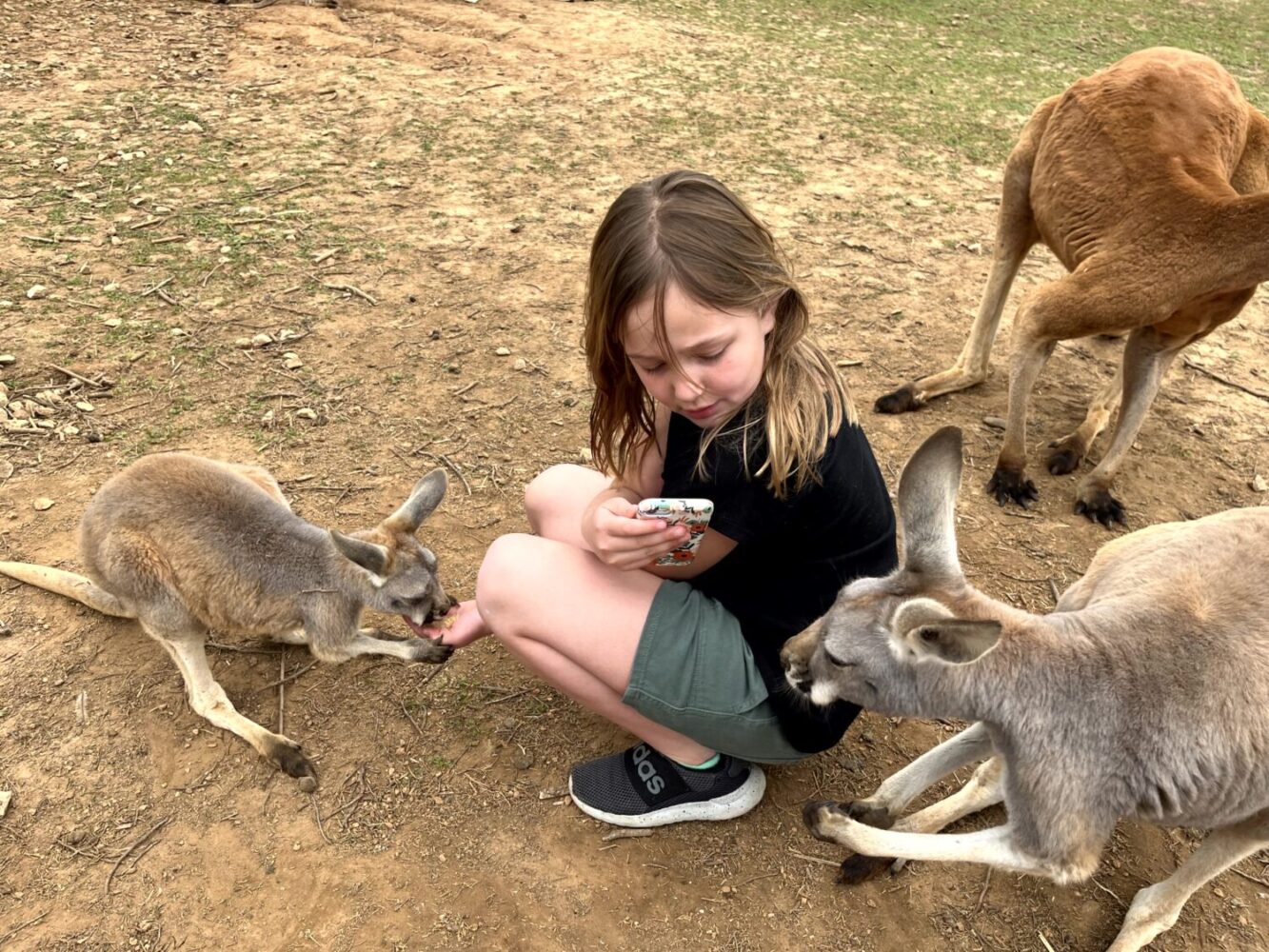 Kentucky Down Under Adventure Zoo - Indy's Child Magazine