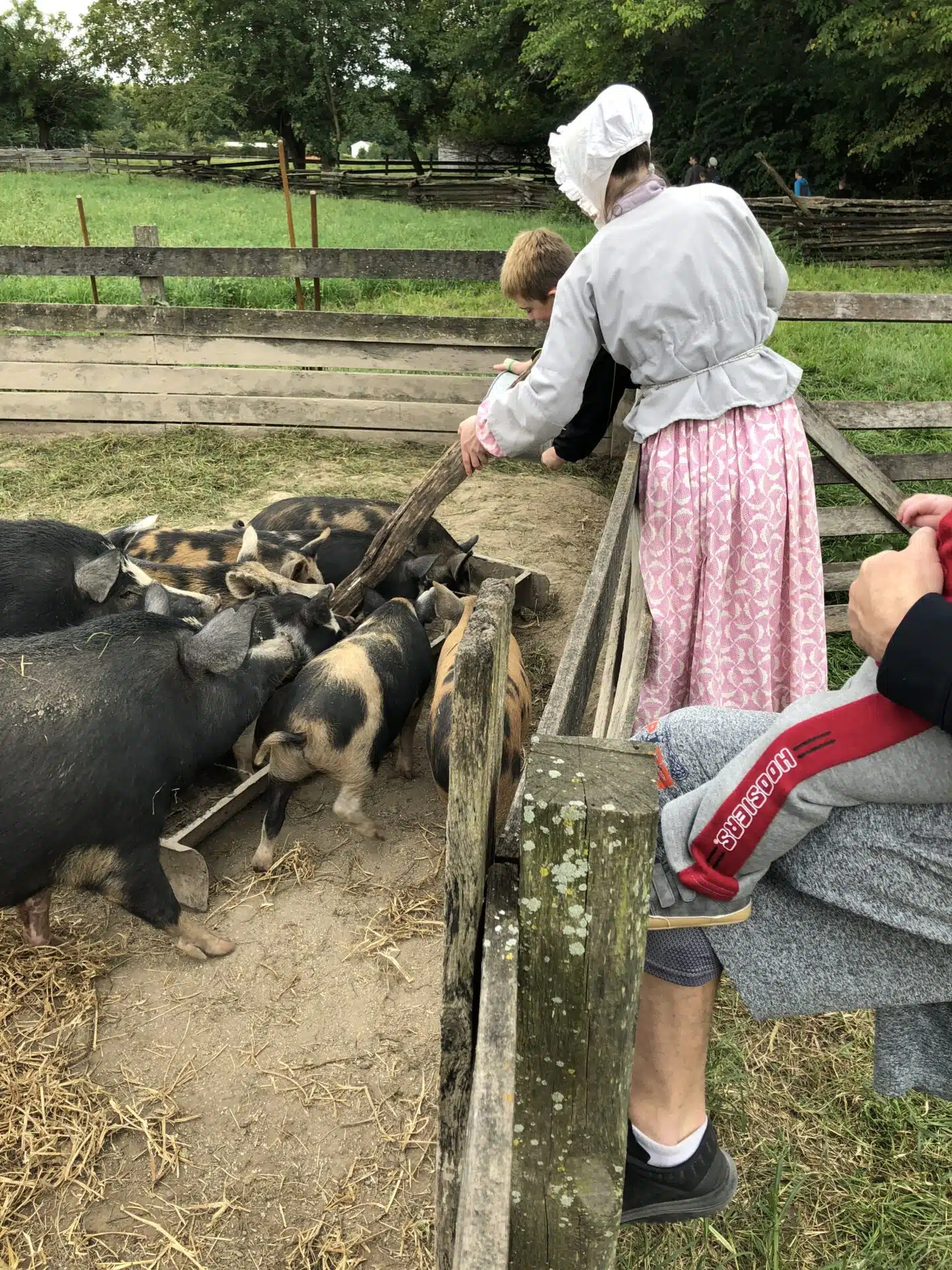 Feeding pigs at conner prairie