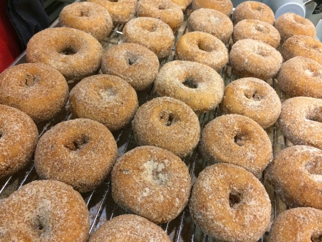 apple cider donuts in indianapolis