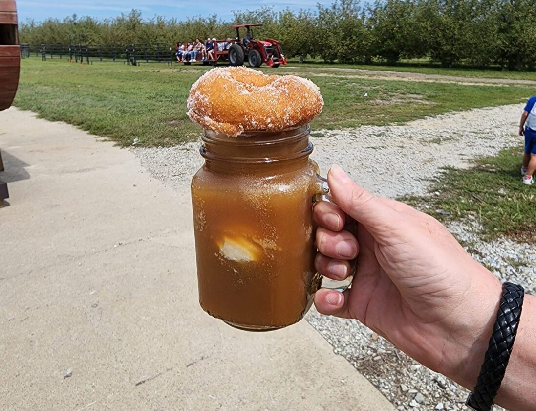 Best apple cider donuts near me