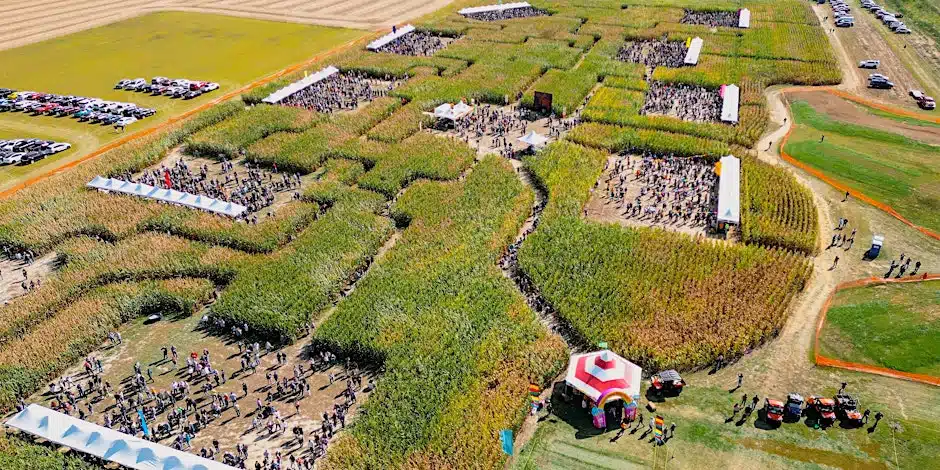 Adult-Only Corn Maze Beer Festival with 110+ Breweries