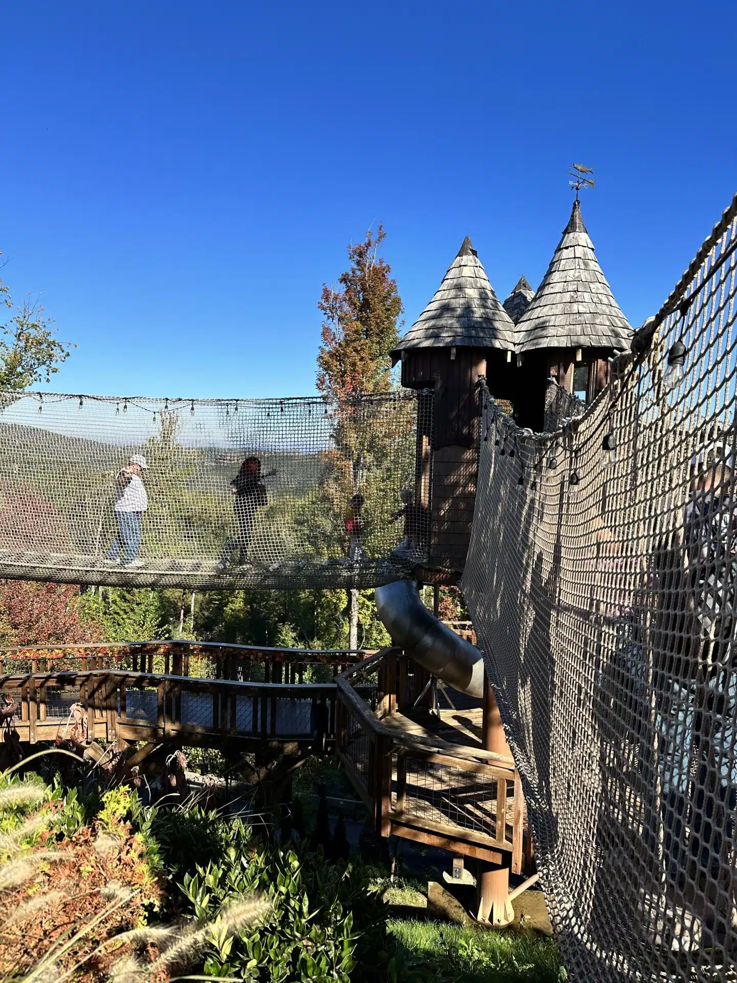 Treehouse Adventure & Challenge Course