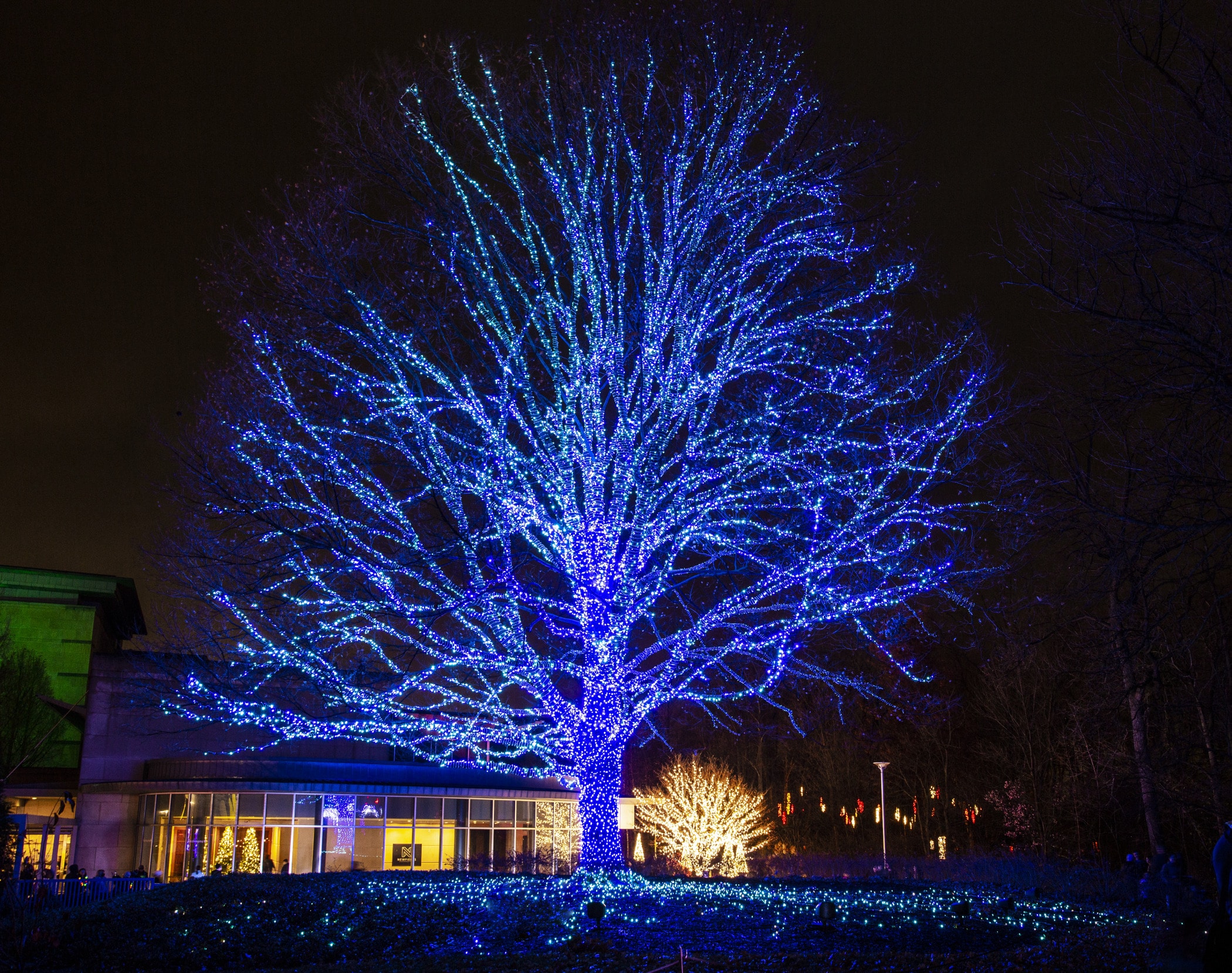 latkes-and-lights-at-winterlights-indy-s-child-magazine