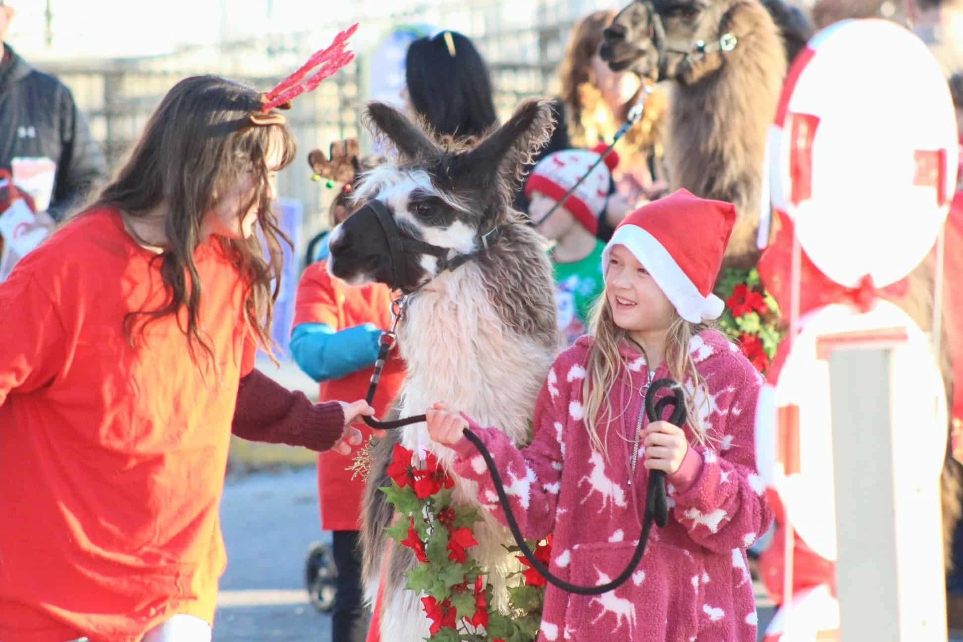 Top 10 Free Events In Indianapolis On Dec 2