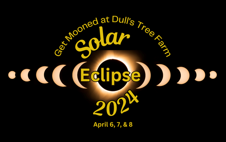 solar eclipse at dull's