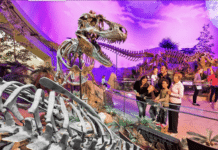 Free Children’s Museum Admission for MLK Day: Tickets Open Jan. 9 at 10 a.m.