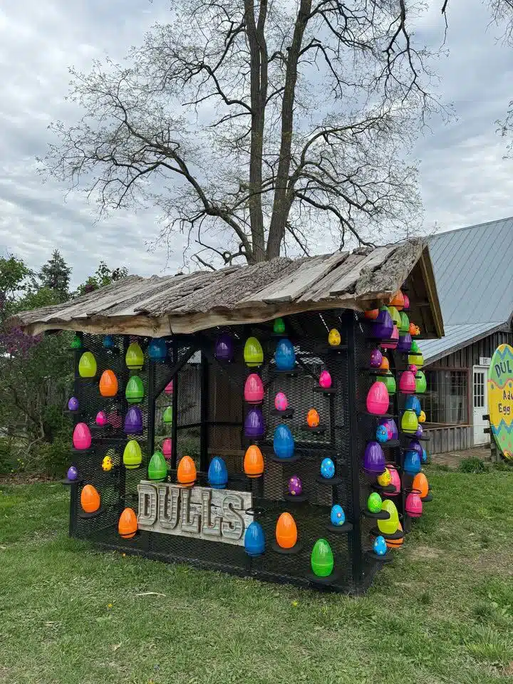 The Ultimate Adult-Only Easter Egg Hunt at Dull's Tree Farm 4 491391601 1074310064742341 3295545923540668120 n