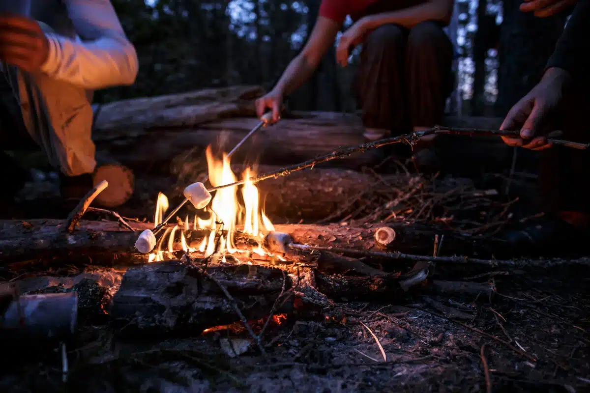 Campfire Concert: Mr. Daniel and Friends