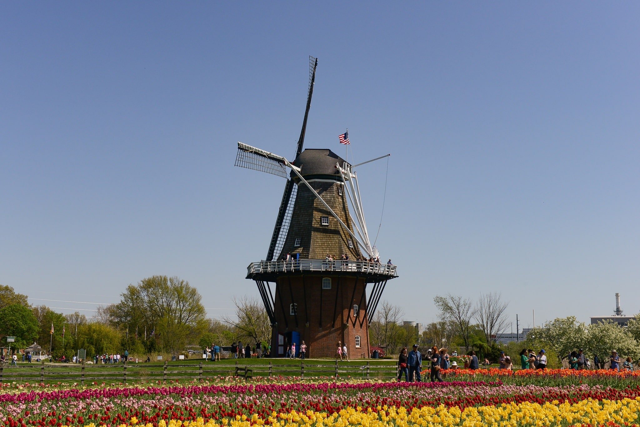 Tulip Time Festival Holland