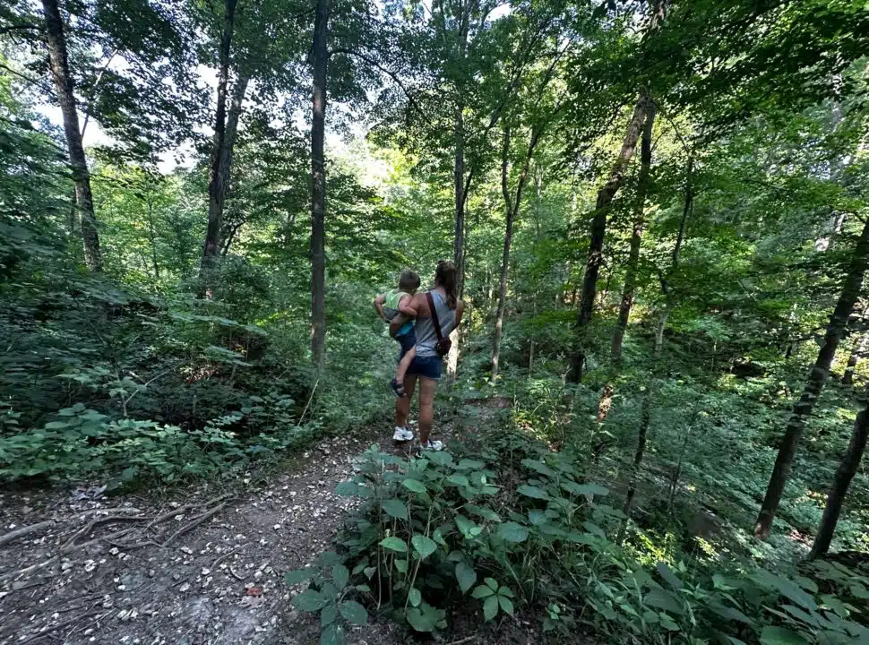 Clifty Falls Indiana State Park