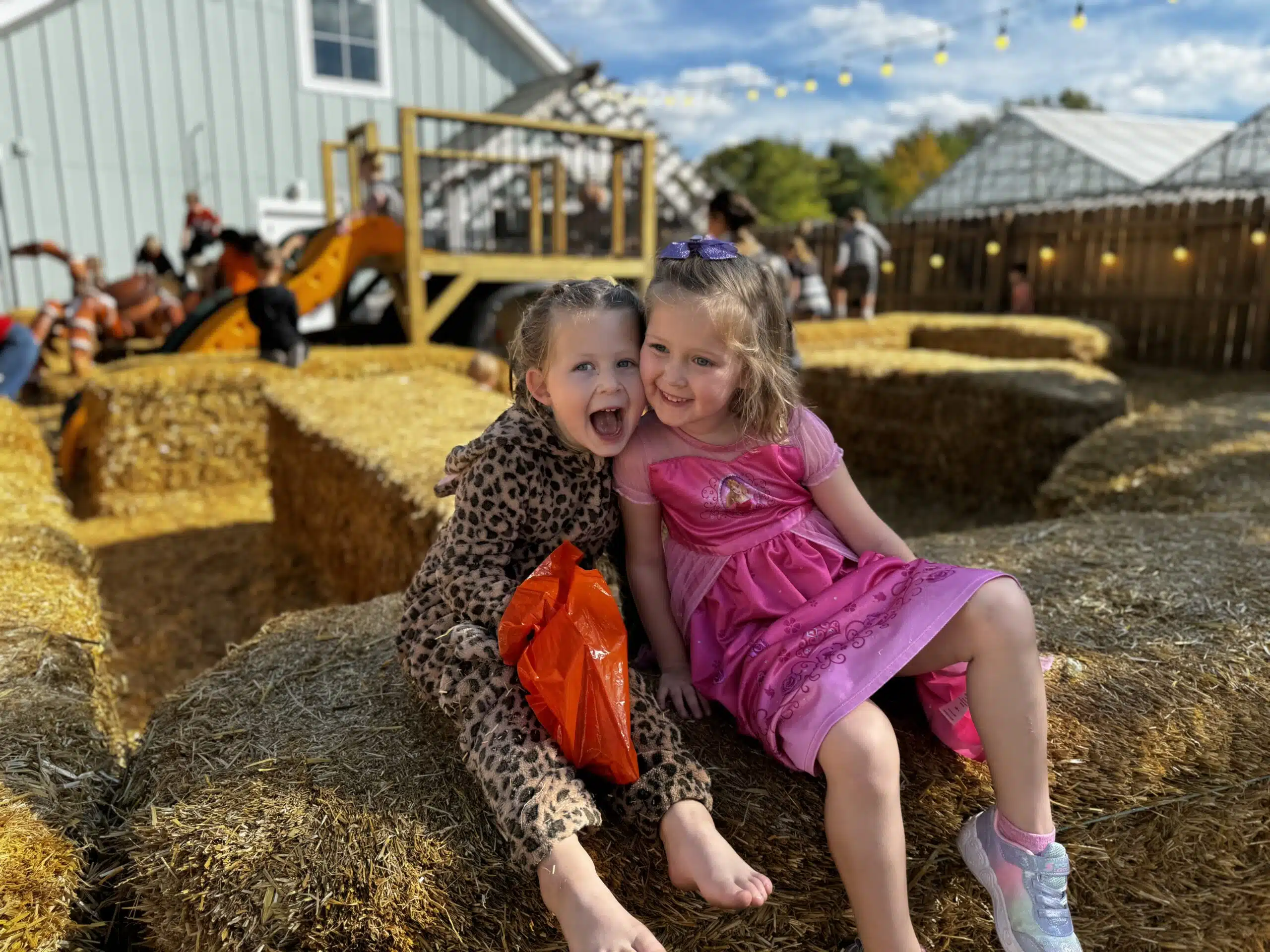 Take a Ride on the Sullivan Express to PumpkinTown 7 Sullivan Express train at PumpkinTown in Fishers, Indiana