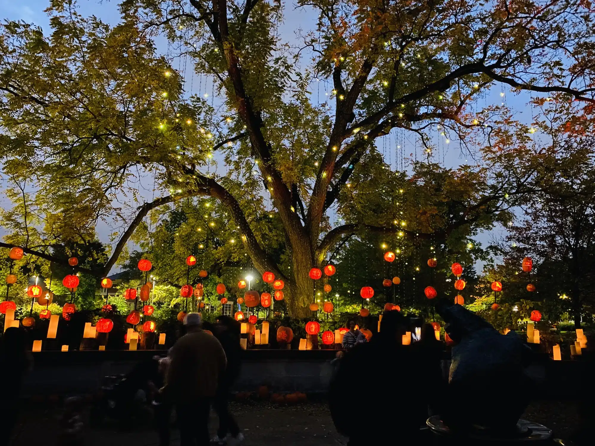 Harvest Nights at Newfields A Spooky (but Not Scary!) Fall Event