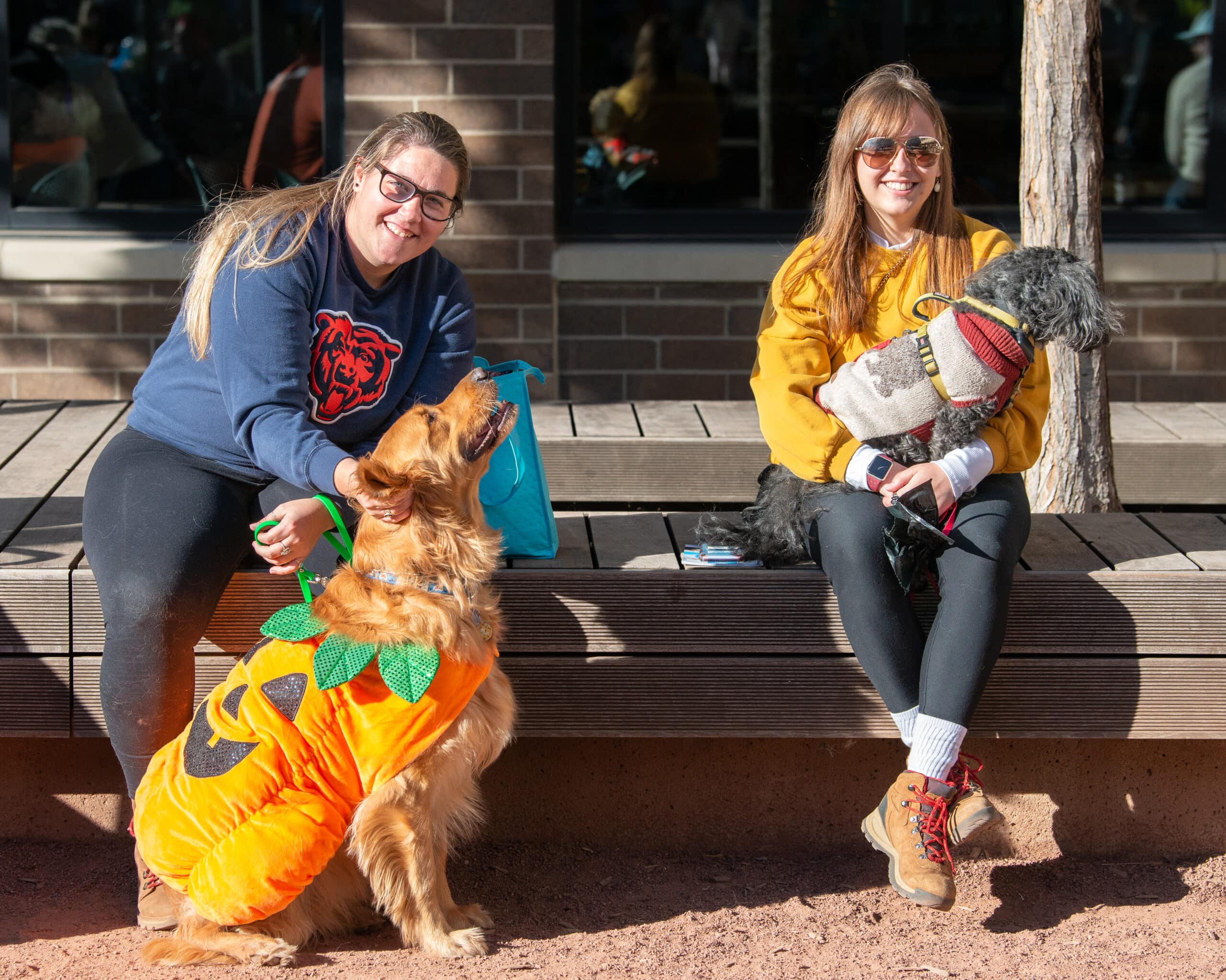 The Arts in Autumn MMoM Midtown got Talent 2022 scaled