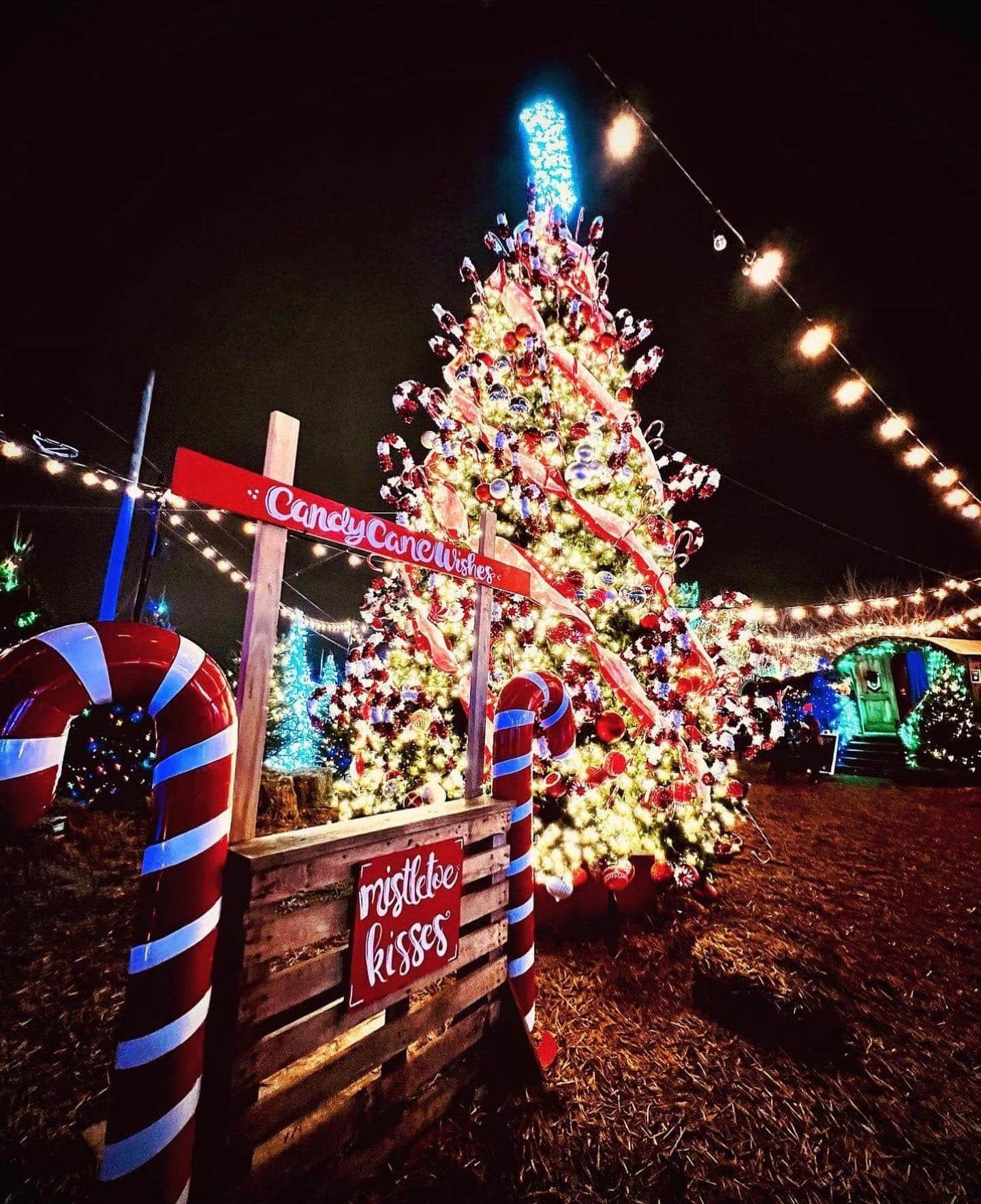 Roadtrip Worthy Jack Frost Holiday PopUp Indy's Child Magazine